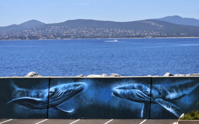 LES BALEINES DE SANTA LUCIA, UNE INVITATION A REVER ET A PROTEGER
